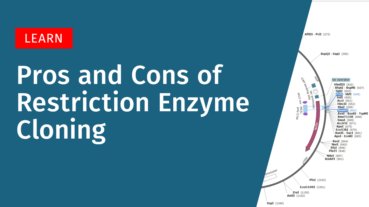 Pros and Cons of Restriction Cloning